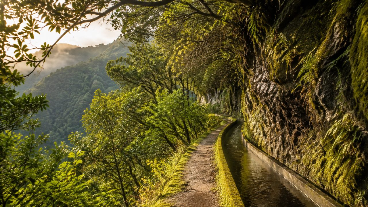 A narrow stone path running along a levada channel above a deep green Madeiran valley